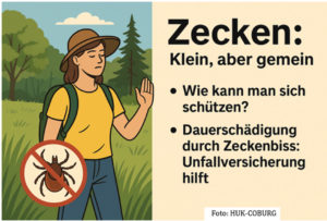 Mehr über den Artikel erfahren Zecken: Klein, aber gemein – Tipps zum Schutz und zur Vorsorge