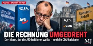 Mehr über den Artikel erfahren Der Mann, der die AfD halbieren wollte – und die CDU halbierte